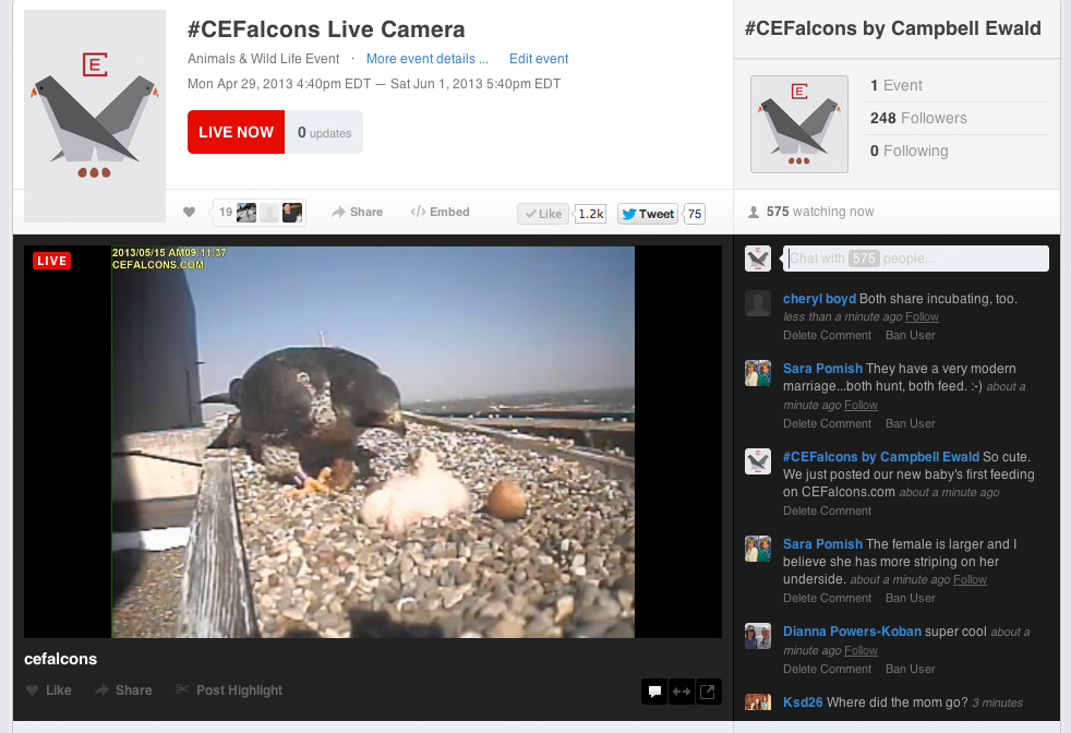 Livestream (Live Camera Feed)